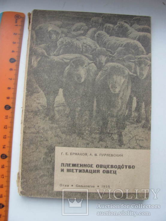 Племенное овцеводство и метизация овец. 1935 г, фото №2