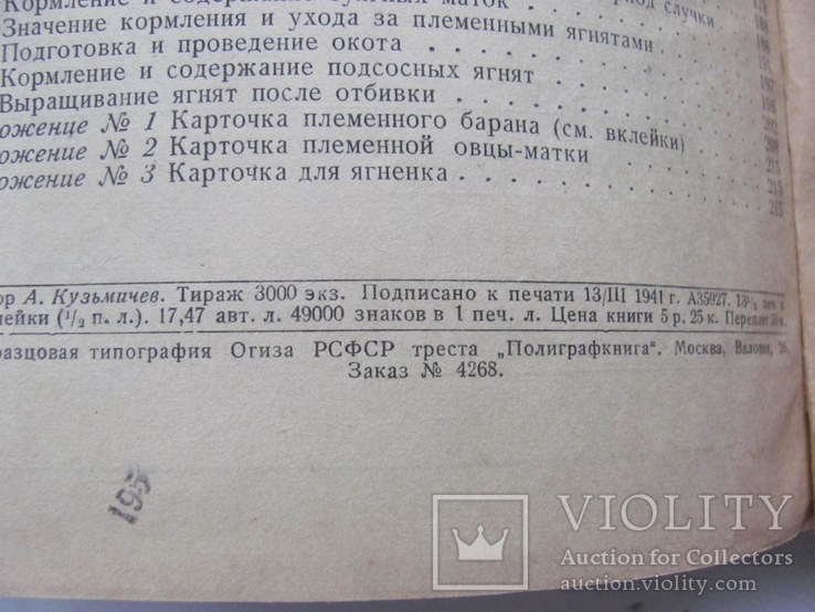 Племенное дело в тонкорунном овцеводстве 1941 г, фото №6