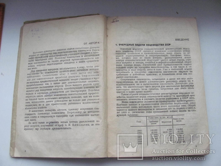 Сириус Шерстоведение и бонитировка овец 1932 г, фото №5