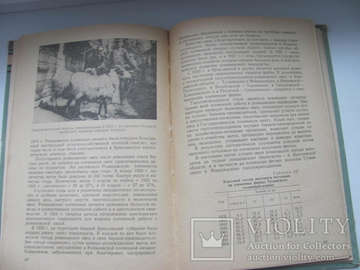 Романовское овцеводство 1961 г Автограф автора, фото №8