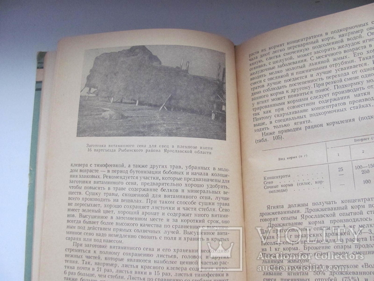 Романовское овцеводство 1961 г Автограф автора, фото №9