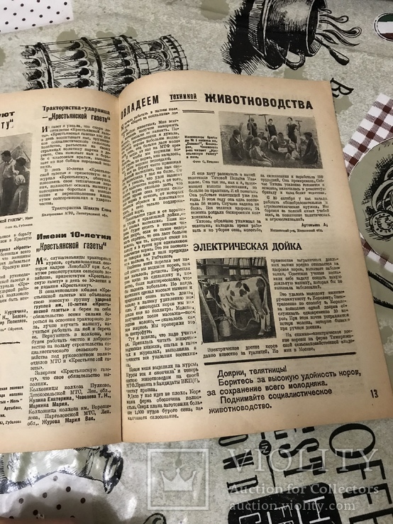 Авангард Крестьянка журнал 1933г 20 юбилейный 10лет, фото №4