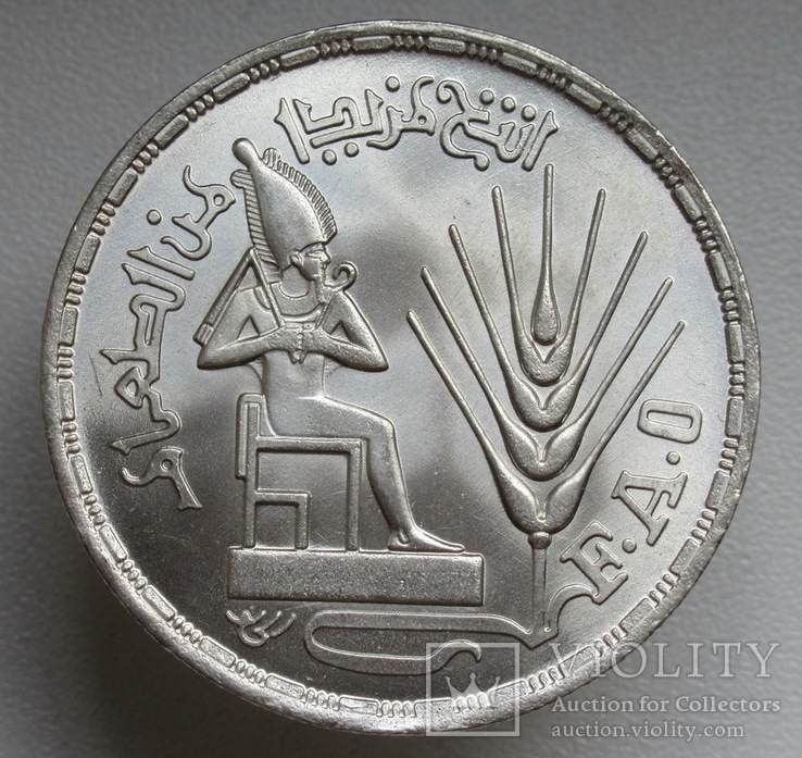 1 фунт 1976 г. Египет " ФАО ", штемпельный блеск, серебро, фото №2