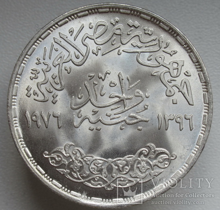 1 фунт 1976 г. Египет " ФАО ", штемпельный блеск, серебро, фото №7