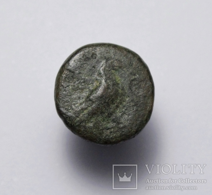 Еоліда, м.Кіми (Кіма), 350-250 до н.е. – орел / скіфос, фото №6