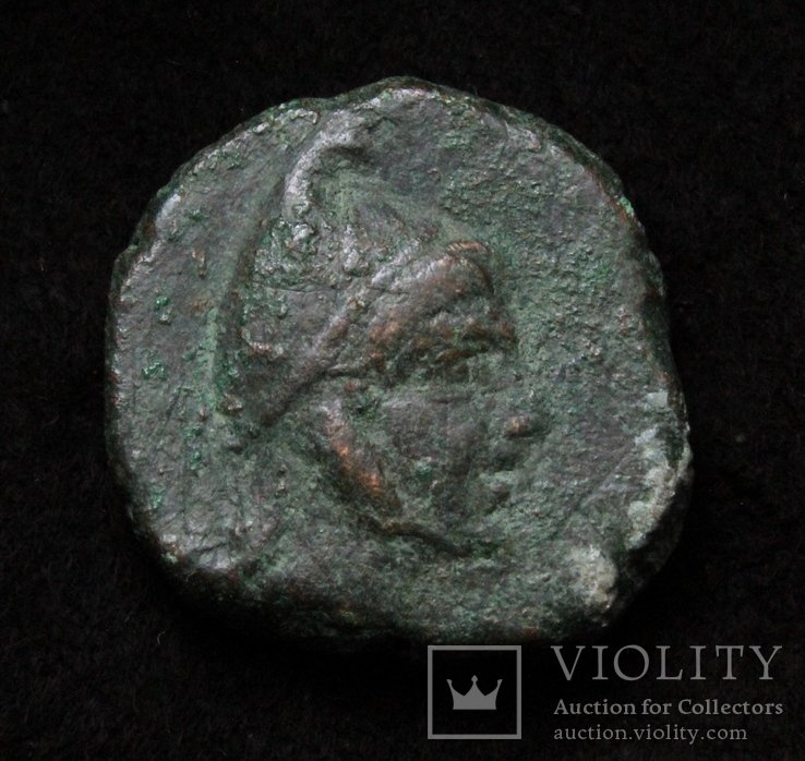 Понтійське царство, м.Аміс, Мітрідат VI Евпатор, 85-65р. до н.е. – Персей / Пегас, фото №3