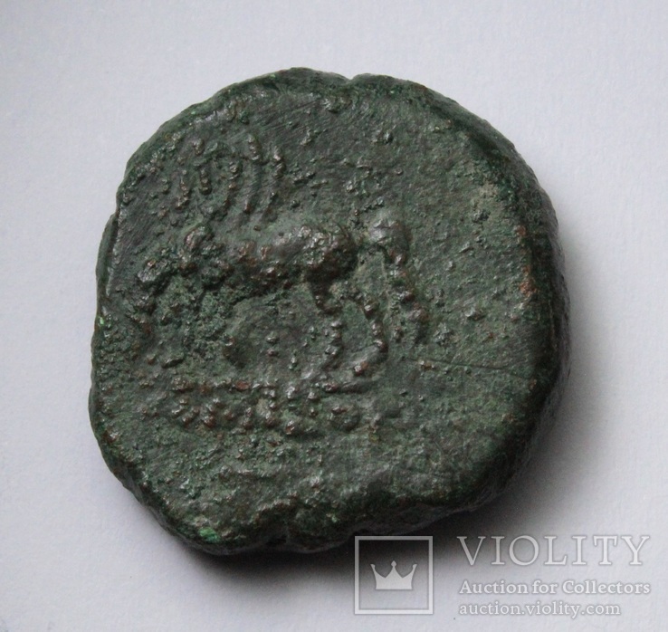 Понтійське царство, м.Аміс, Мітрідат VI Евпатор, 85-65р. до н.е. – Персей / Пегас, фото №11