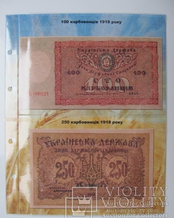 Альбом-каталог для обігових банкнот України 1917-1919рр., фото №3