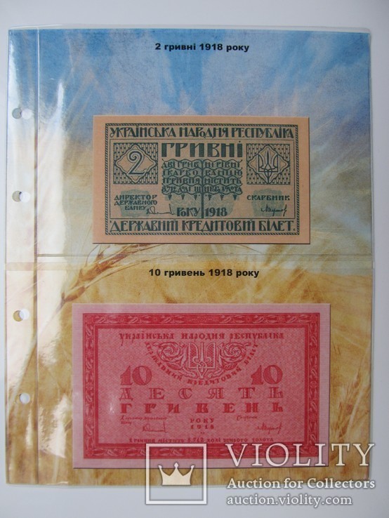 Альбом-каталог для обігових банкнот України 1917-1919рр., фото №6