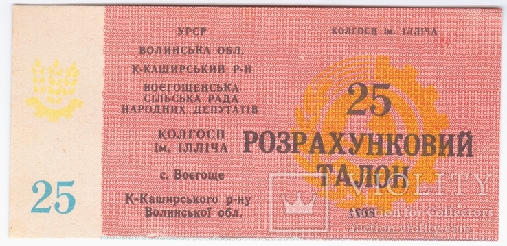 25 Розрахунковий талон с. Воєгоще К-Каширський район Волинська область колгосп ім. Ілліча