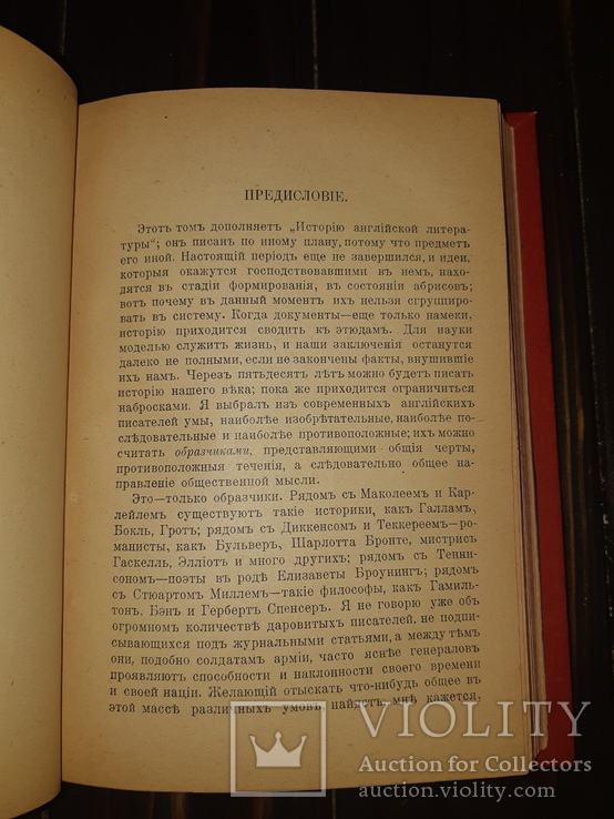 1904 История английской литературы, фото №5