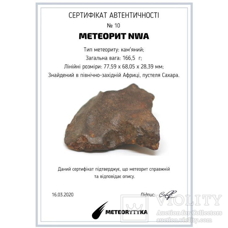 Кам'яний метеорит NWA, пустеля Сахара 166,5 грам, фото №5