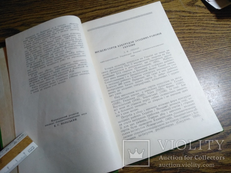 Кукурудза на Львівщині 1959р 3100прим, фото №8