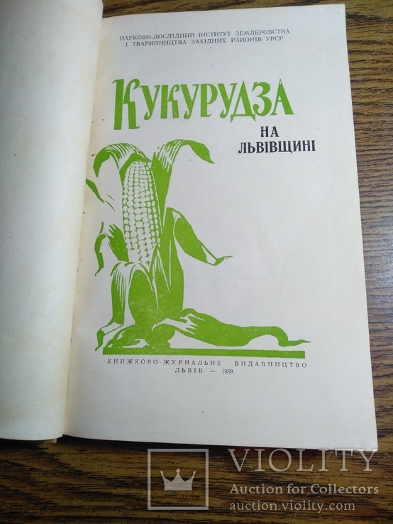 Кукурудза на Львівщині 1959р 3100прим, фото №9