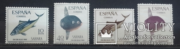 Сахара. Рыбы. 1966.
