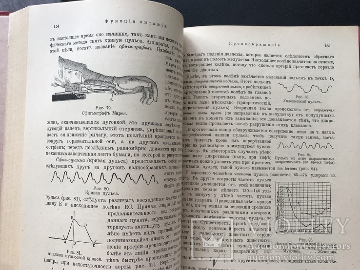 1916 Гедон. Учебник по физиологии, фото №4