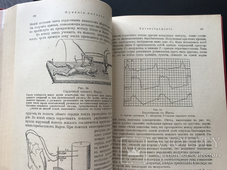 1916 Гедон. Учебник по физиологии, фото №5