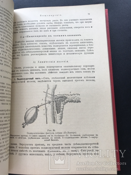 1916 Гедон. Учебник по физиологии, фото №7