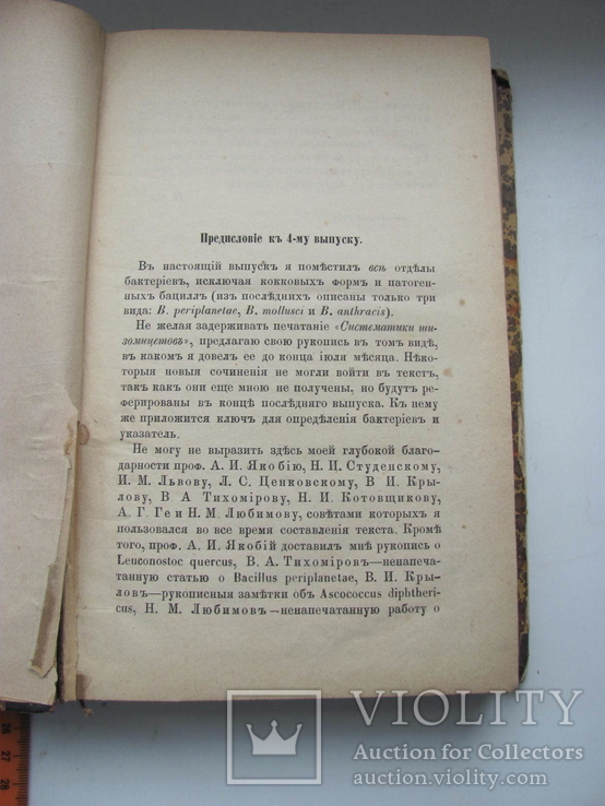 Проф.Сорокин Растительные паразиты человека и животных В.4 1886 г, фото №6