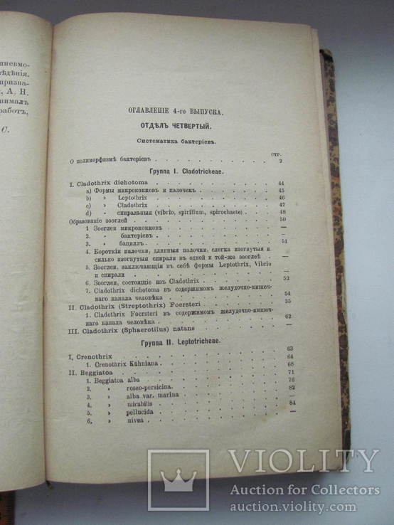 Проф.Сорокин Растительные паразиты человека и животных В.4 1886 г, фото №8