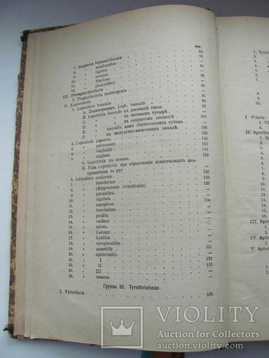 Проф.Сорокин Растительные паразиты человека и животных В.4 1886 г, фото №9