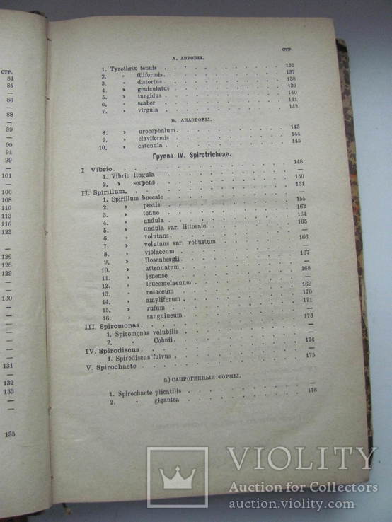 Проф.Сорокин Растительные паразиты человека и животных В.4 1886 г, фото №10