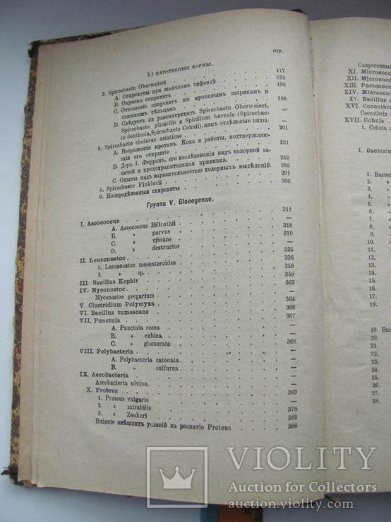 Проф.Сорокин Растительные паразиты человека и животных В.4 1886 г, фото №11