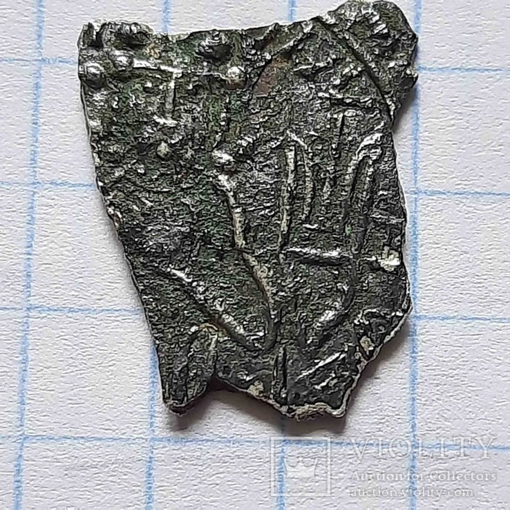 Сребреник Владимира-1.4, фото №5