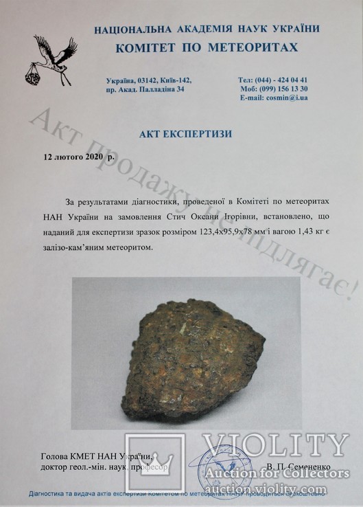 Метеорит Sericho, 1.43 кг, із актом експертизи Комітету по метеоритах НАН України, фото №11