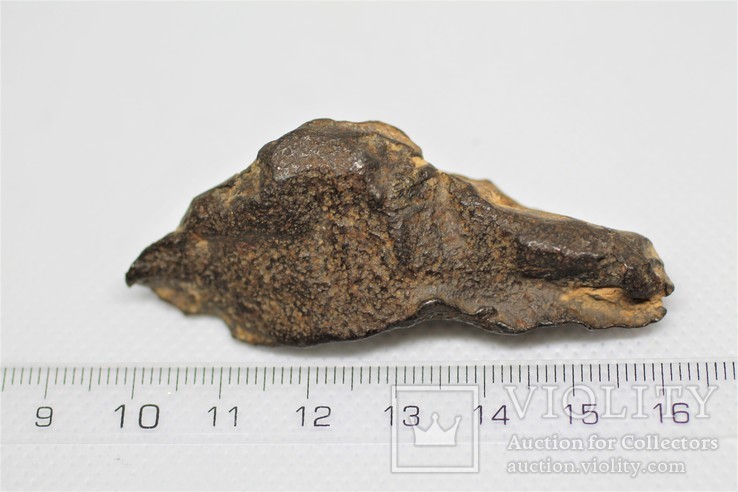Метеорит Gebel Camil, атаксит з сертифікатом автентичності, фото №4