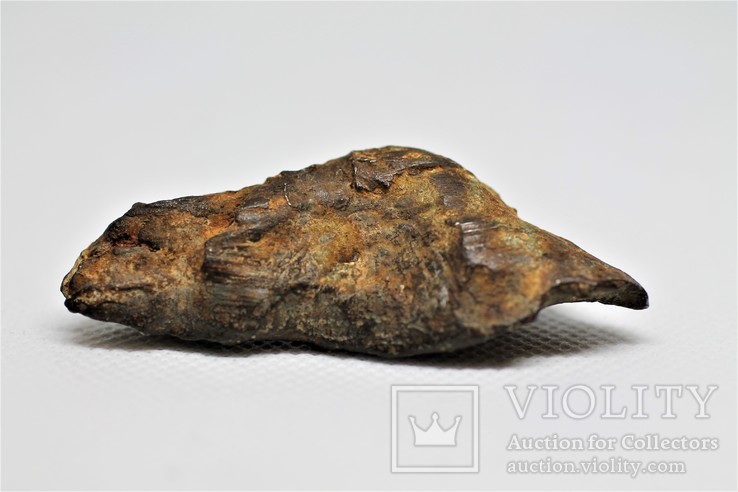 Метеорит Gebel Camil, атаксит з сертифікатом автентичності, фото №7