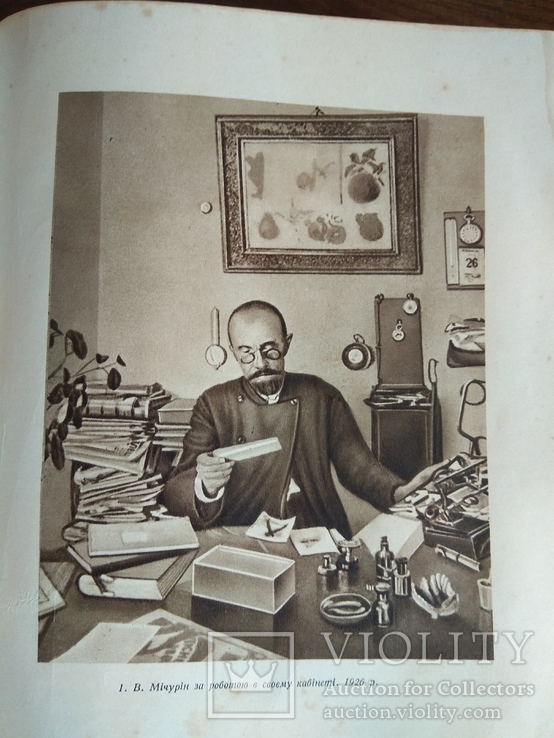 Мичурин 1949 Підсумки шестидесятирічних робіт, фото №7
