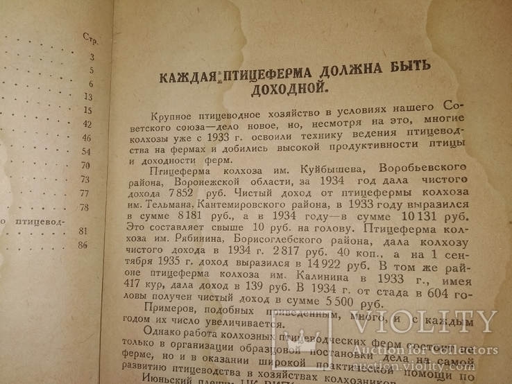 1936 Колхозная птицеферма Воронеж ская обл, фото №5