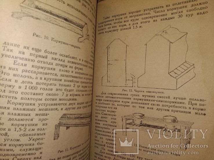 1936 Колхозная птицеферма Воронеж ская обл, фото №8