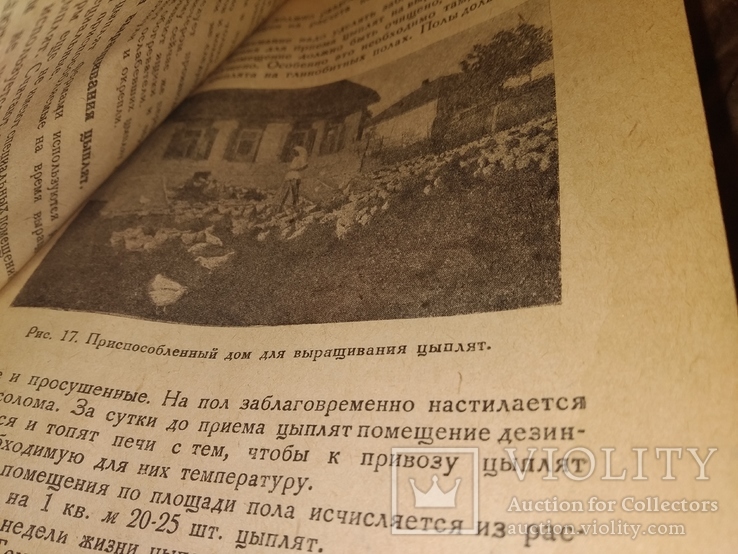 1936 Колхозная птицеферма Воронеж ская обл, фото №9