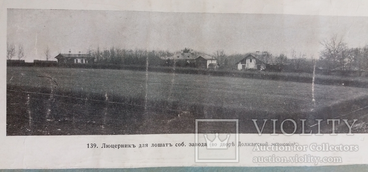 4 вырезки до 1917 года., фото №6
