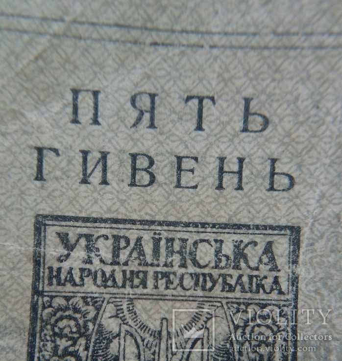 5 гривень 1919 (помилка ГИВЕНЬ), фото №3