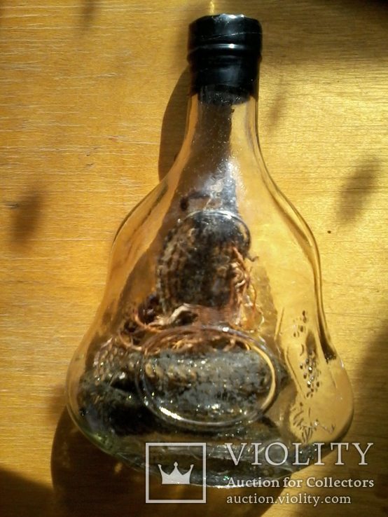 Кобра держит в зубах Скорпиона в бутылке, фото №3