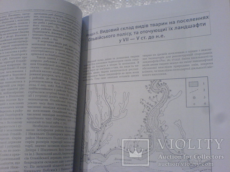 Тваринництво, мисливство та природне середовище Ольвійськой держави архайчних часів, фото №7