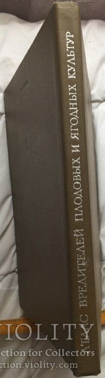 Атлас вредителей плодовых и ягодных культур (104 цветных рис.), 1976 г., тир. 56000 экз., фото №13