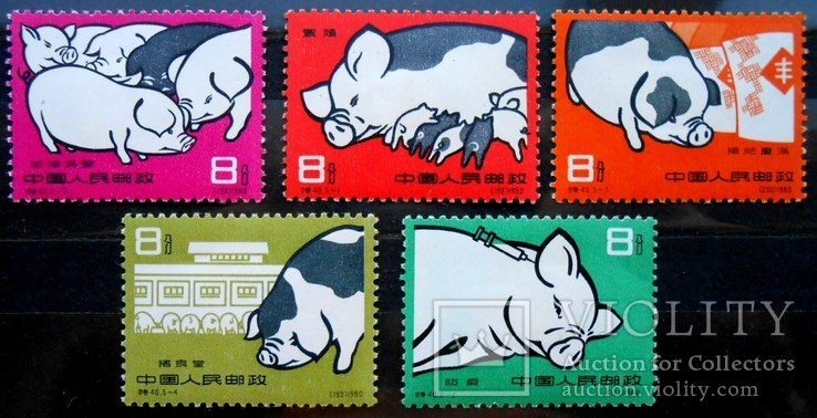 1960 г. Китай Свиноводство (*), фото №2