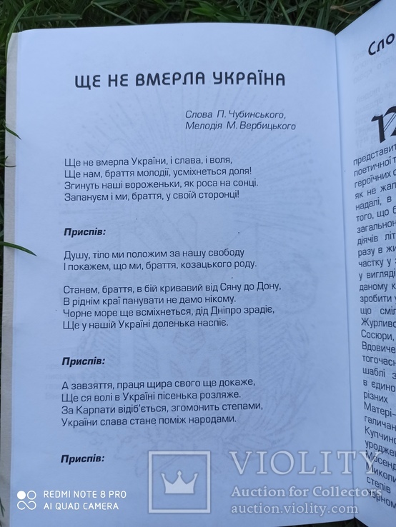 Як на спільне, на радісне свято... Поезія 1917-1921 рр, фото №5