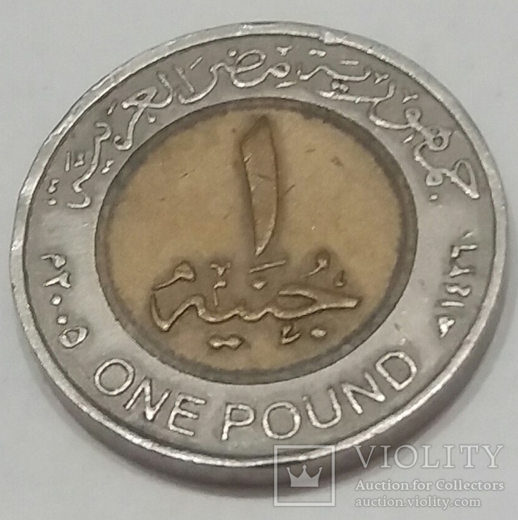 Єгипет 1 фунт, 2005 не магнетик, фото №2