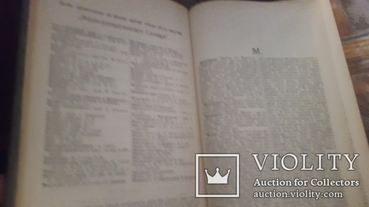 Энциклопедический словарь Ефрон и Брокгауз 82т+4доп, фото №6