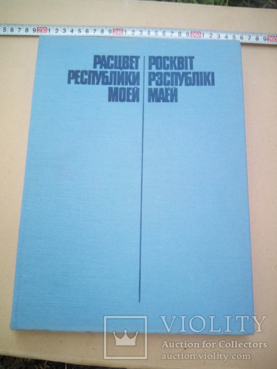 Расцвет республики моей, фото №2