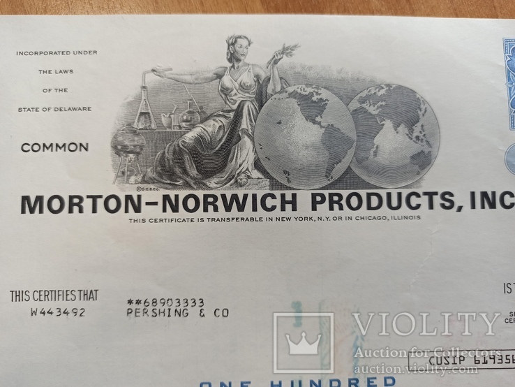 Morton-Norwich Products, фото №2