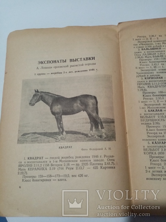 Каталог выставки рысистых Лошадей 1948 г тираж 500 экз, фото №5