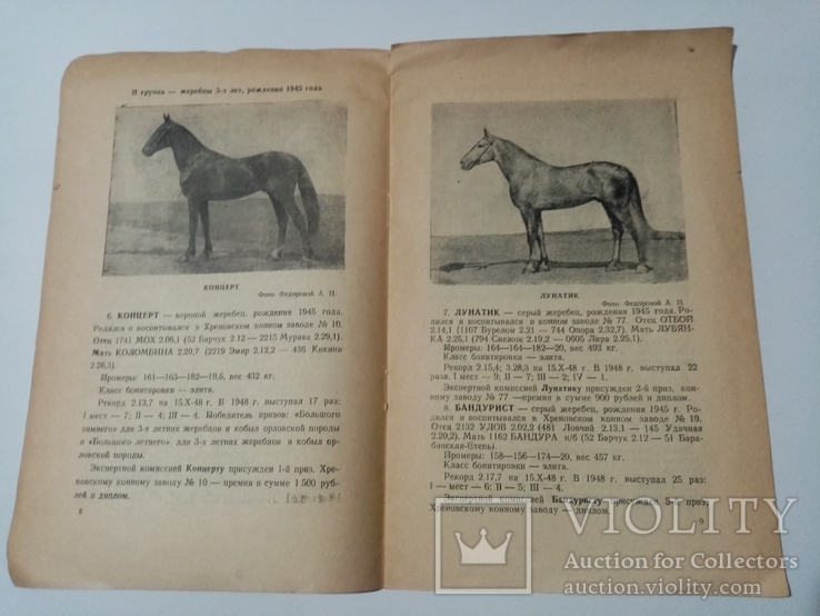 Каталог выставки рысистых Лошадей 1948 г тираж 500 экз, фото №6