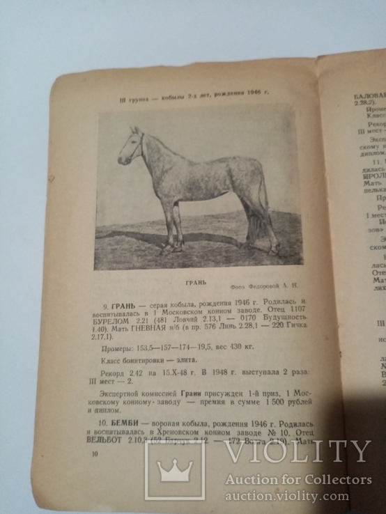 Каталог выставки рысистых Лошадей 1948 г тираж 500 экз, фото №7
