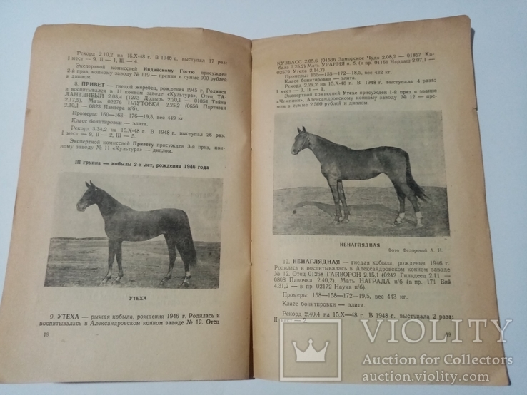 Каталог выставки рысистых Лошадей 1948 г тираж 500 экз, фото №11